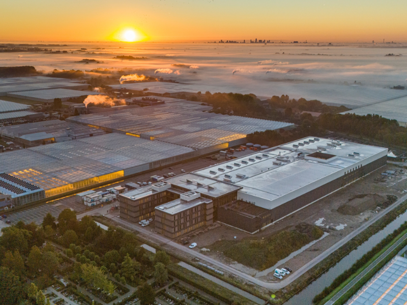 Seed Connect: van zaad tot samenleving – waar ideen wortel schieten bij Rijk Zwaan!